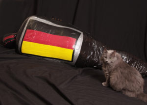 german cat