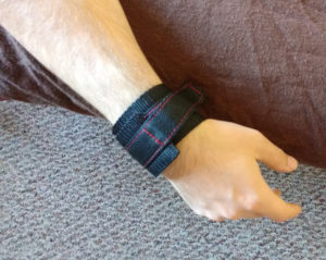 wrist
